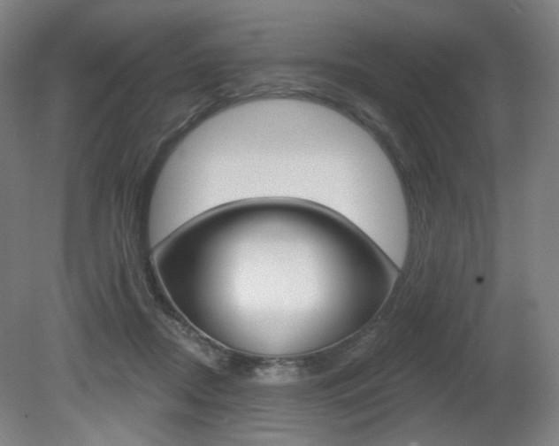 X0000080740362200612150938