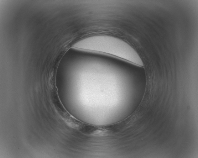 X0000080740364200612150938