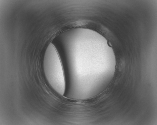 X0000080740366200612150938