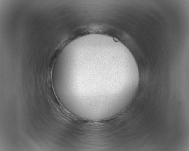 X0000080740367200612150938