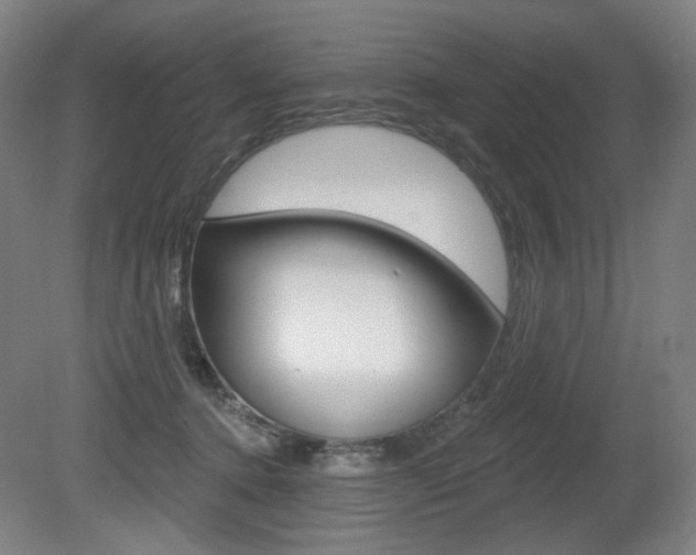 X0000080740368200612150938