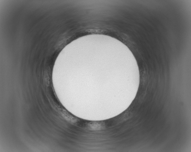 X0000080740370200612150938