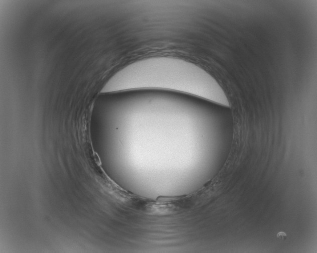 X0000080740372200612150938