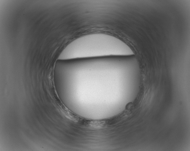 X0000080740373200612150938