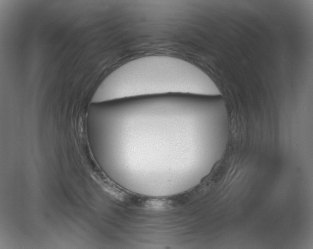 X0000080740375200612150938