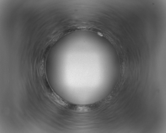 X0000080740376200612150938