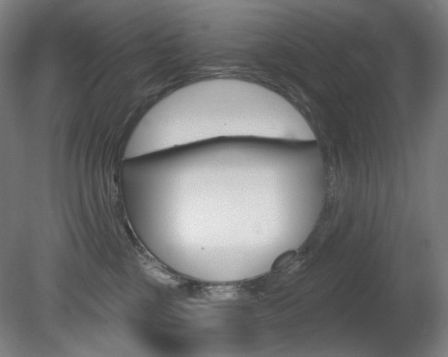 X0000080740377200612150938