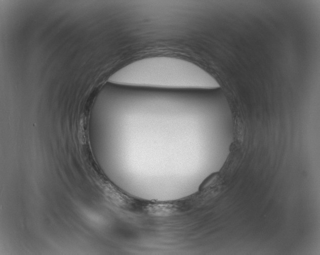 X0000080740378200612150938