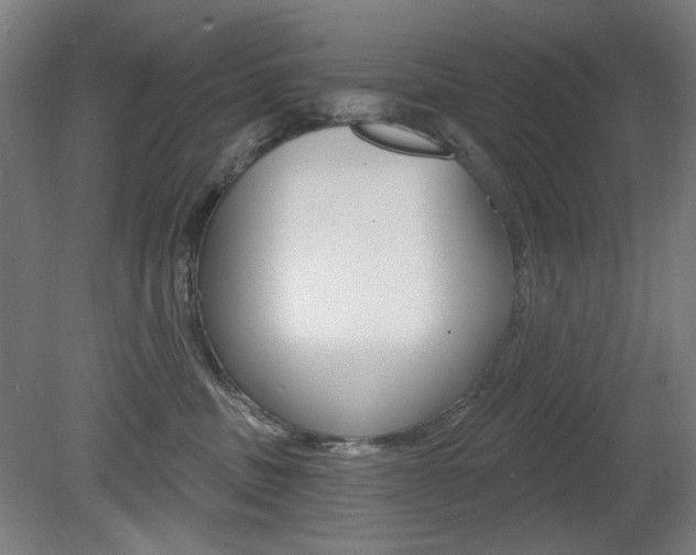 X0000080740379200612150938
