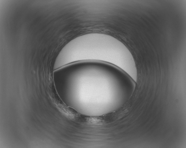 X0000080740380200612150938
