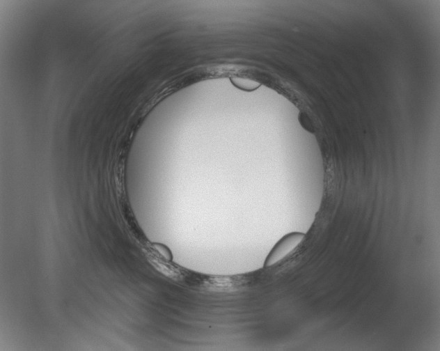X0000080740381200612150938