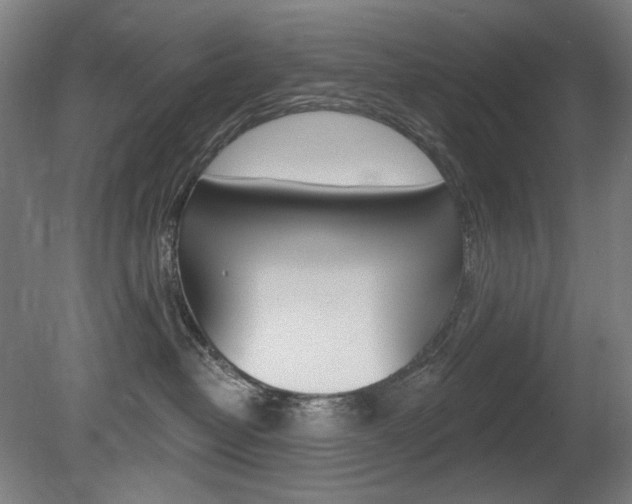 X0000080740382200612150938