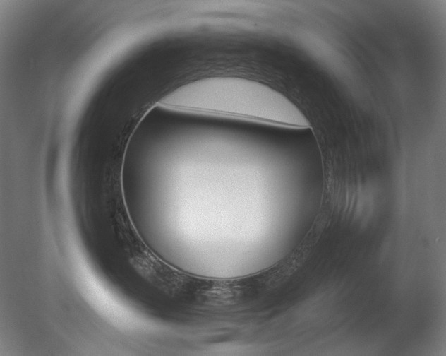 X0000080740383200612150938