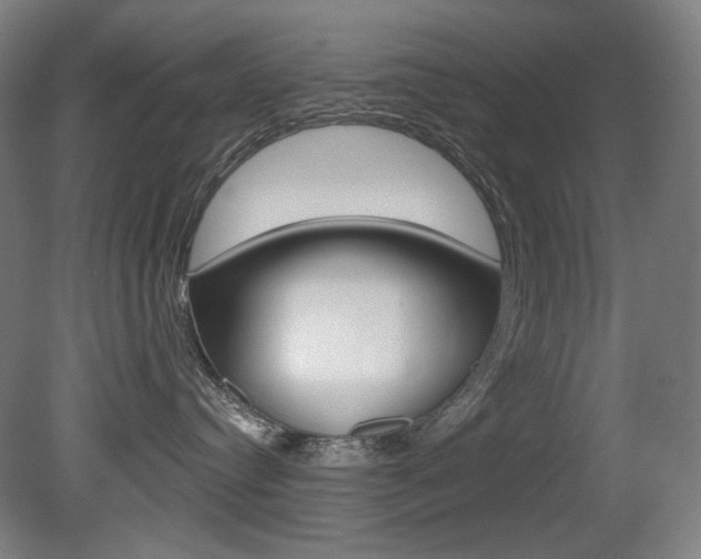 X0000080740384200612150938