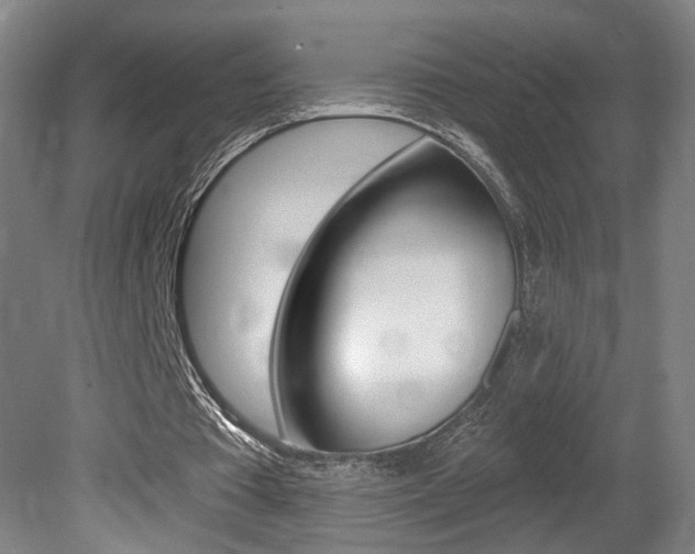 X0000080740385200612150937