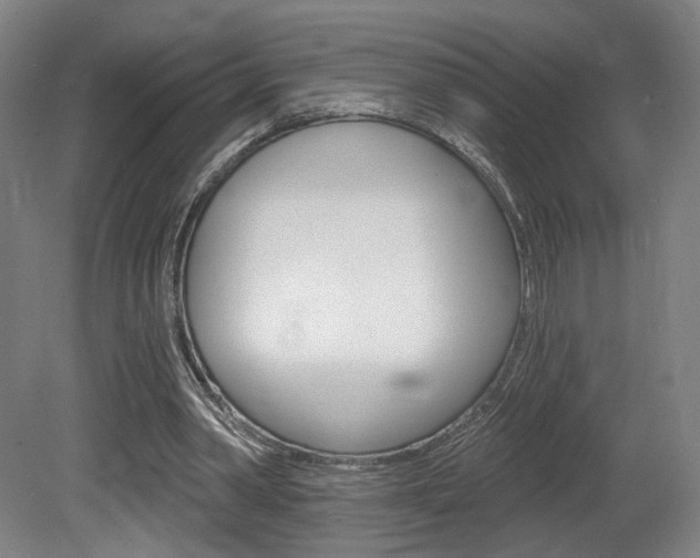 X0000080740390200612150937