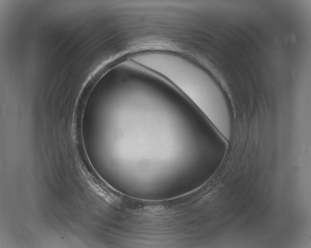 X0000080740391200612150937