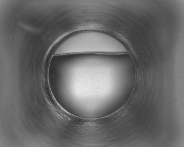 X0000080740392200612150937