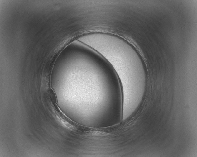 X0000080740393200612150937
