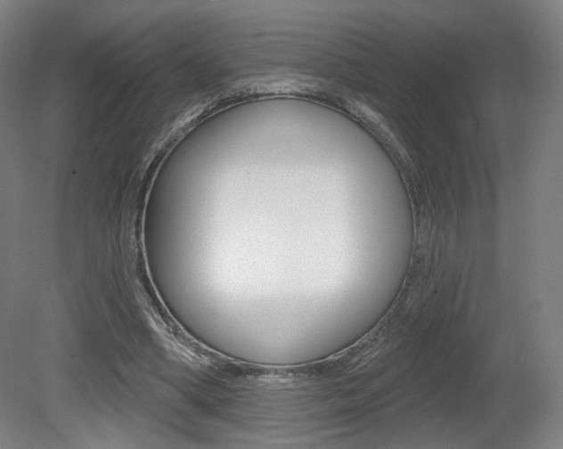 X0000080740394200612150937