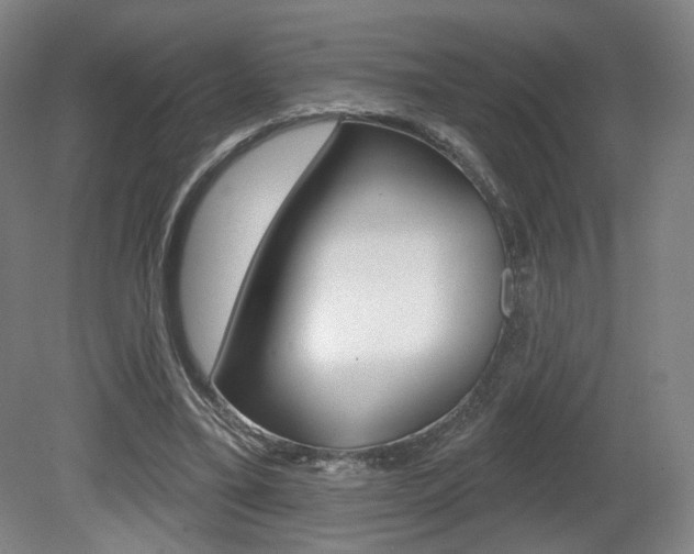 X0000080740395200612150937