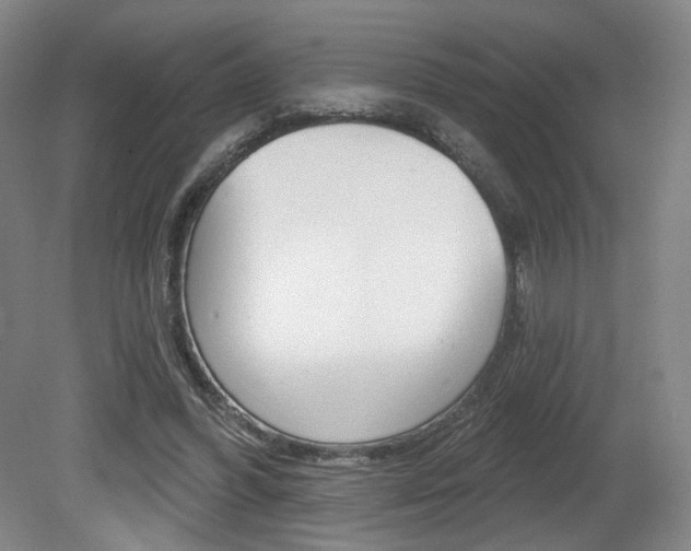 X0000080740396200612150937
