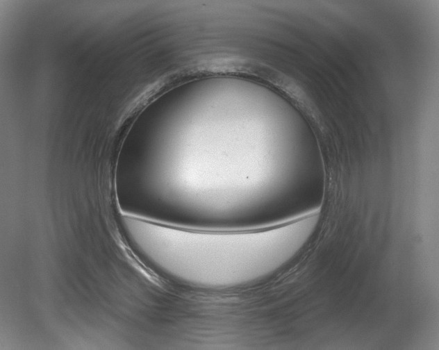 X0000080740397200612150937