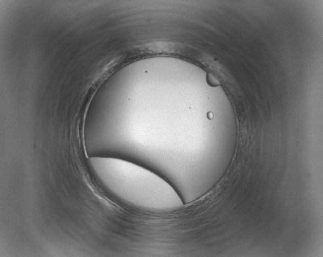 X0000080740398200612150937