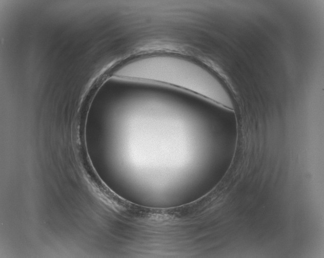 X0000080740399200612150937