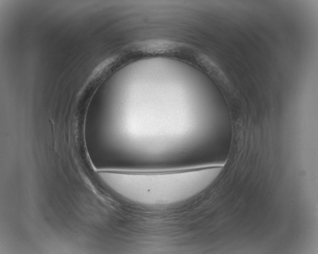 X0000080740400200612150937