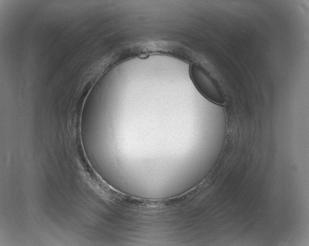 X0000080740402200612150937