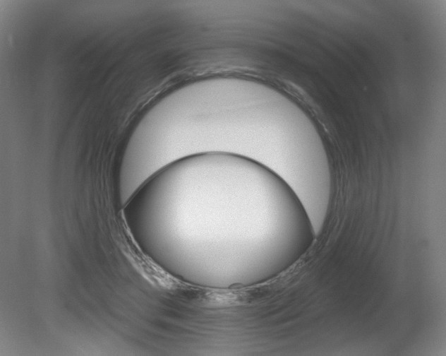 X0000080740405200612150937