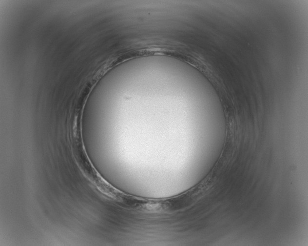 X0000080740406200612150937