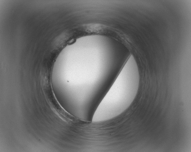 X0000080740408200612150937