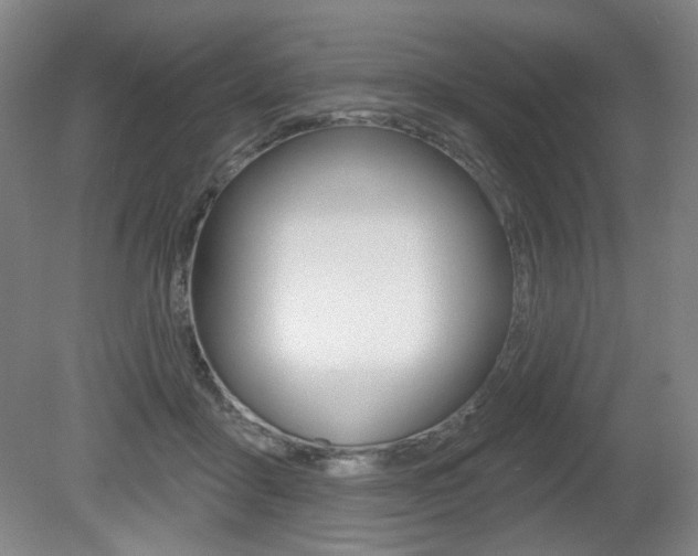 X0000080740411200612150937