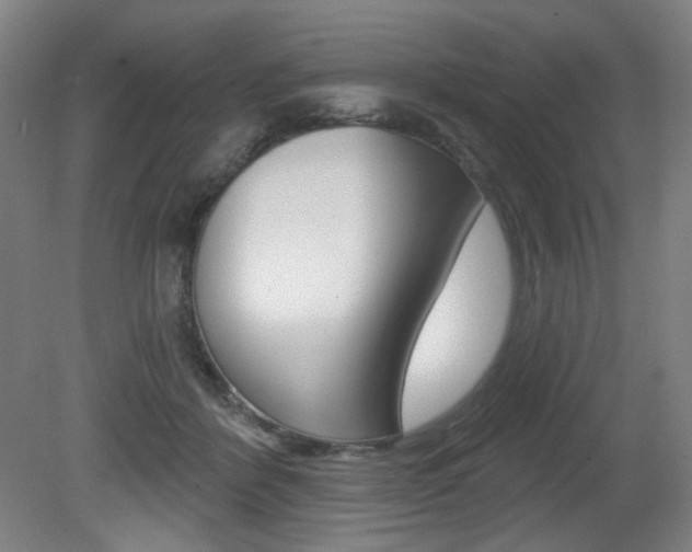 X0000080740412200612150937