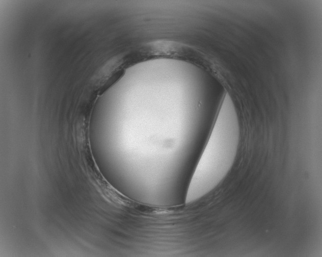 X0000080740413200612150937