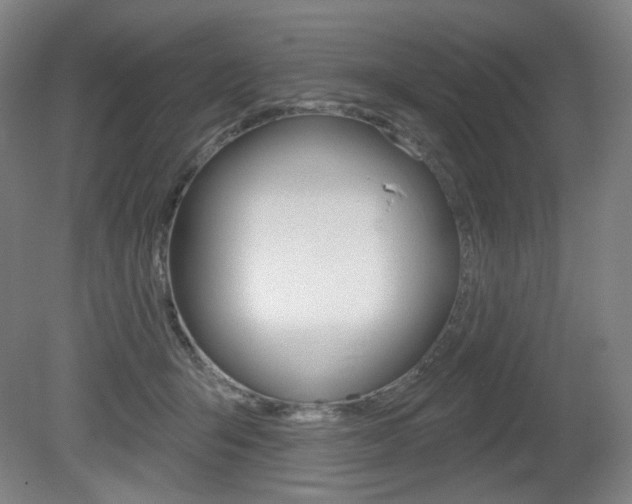 X0000080740415200612150937