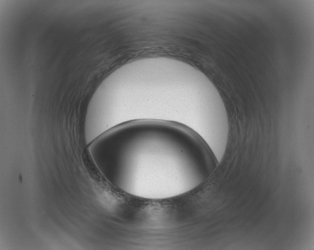 X0000080740416200612150937