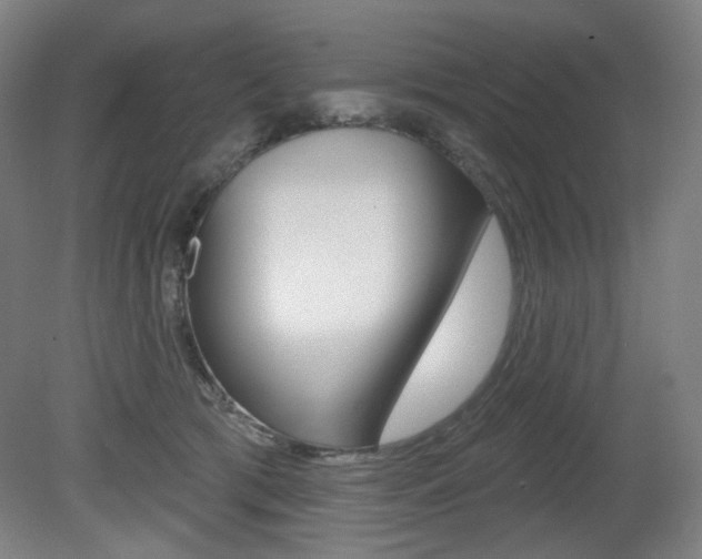 X0000080740417200612150937