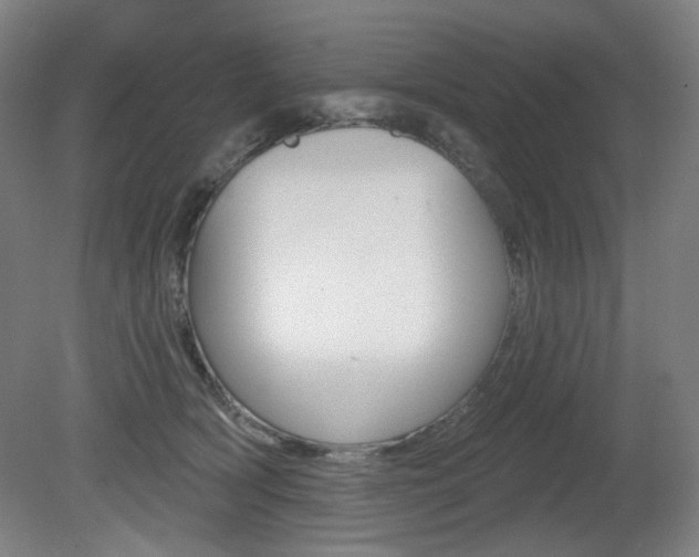 X0000080740418200612150937