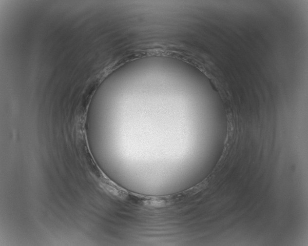 X0000080740419200612150937