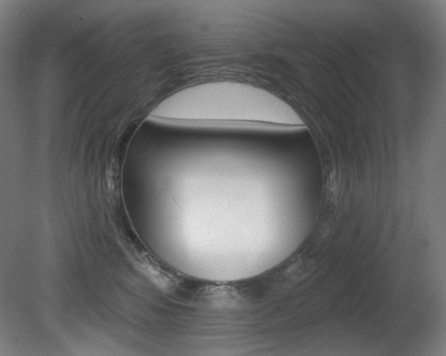 X0000080740424200612150937