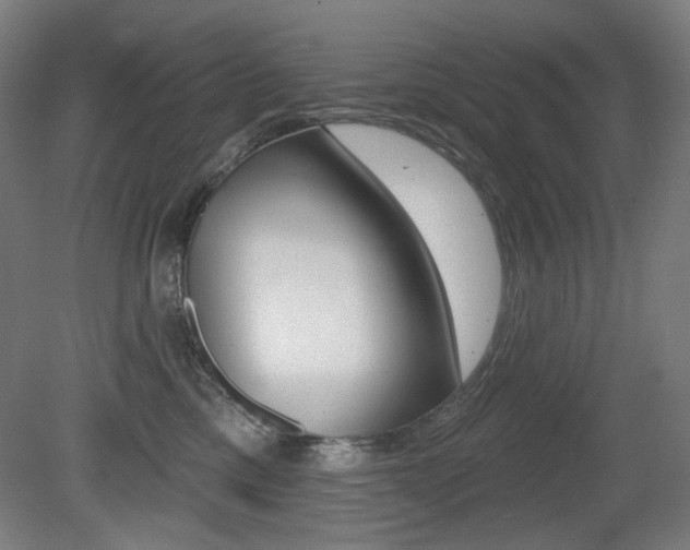 X0000080740425200612150937