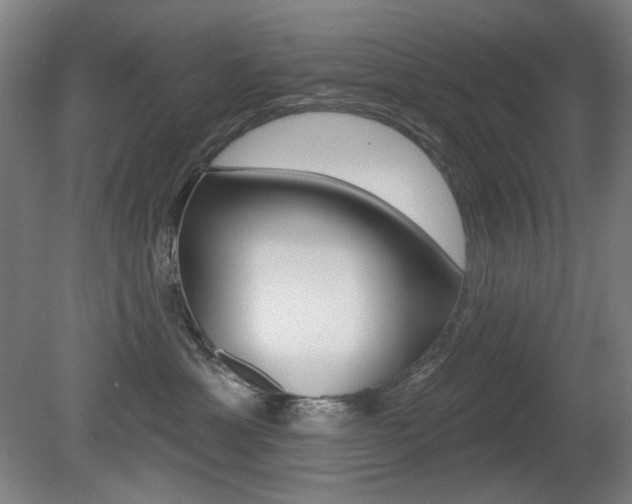 X0000080740429200612150937