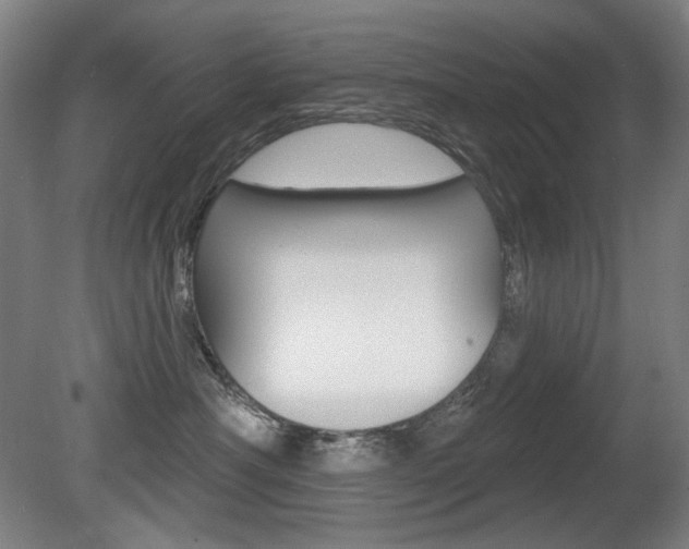 X0000080740430200612150937