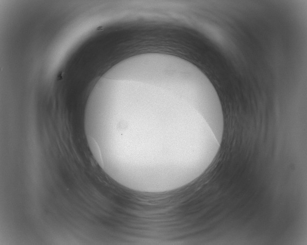 X0000080740431200612150937