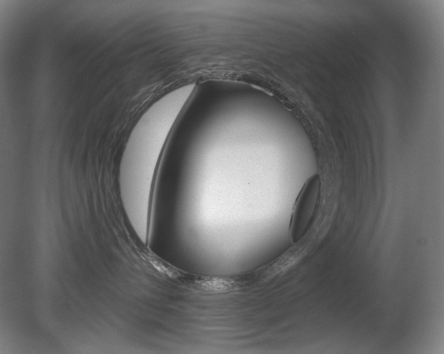 X0000080740432200612150937