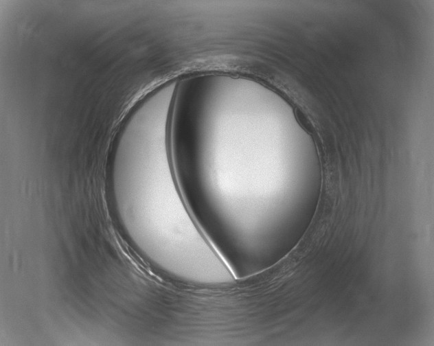 X0000080740434200612150936