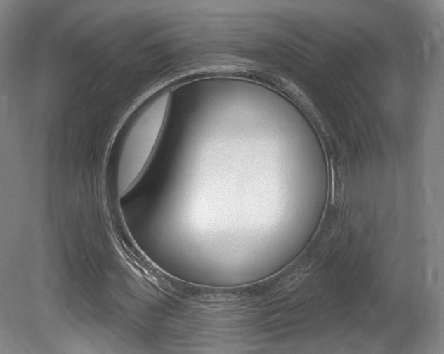 X0000080740435200612150936